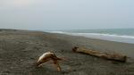 P1000236.JPG